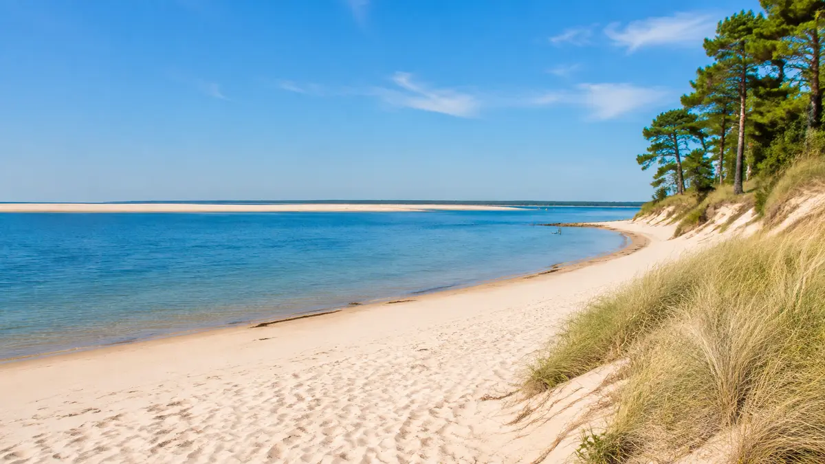 Journée nature et découverte sur le Bassin d’Arcachon